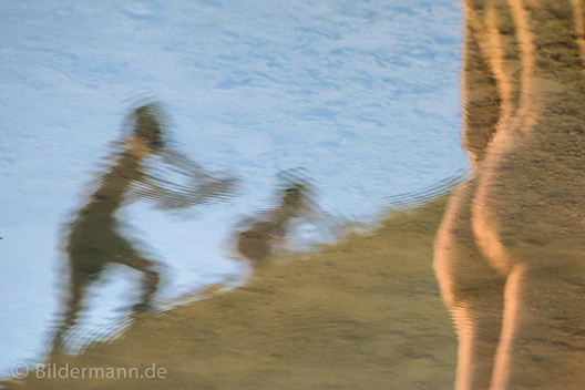 „Sp&auml;tsommerliche Beobachtung in der Kiesgrube in Ottendorf-Okrilla” &ndash; Bildermanns Foto des Monats September 2016 (&copy; by Bildermann 2016)